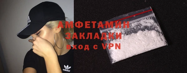 гидра Инта