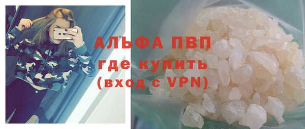 гидра Инта