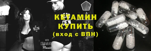 гидра Инта