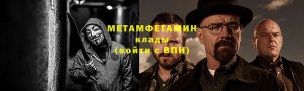 гидра Инта