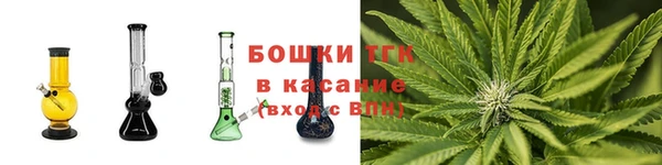 гидропоника Иннополис