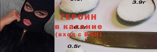 гидра Инта