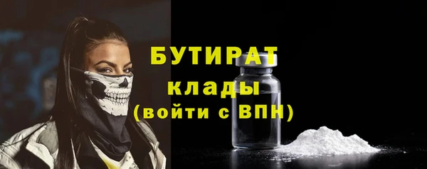 гидра Инта