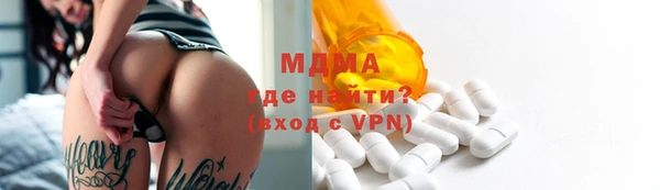 гидра Инта