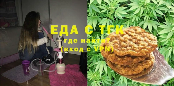 гидра Инта