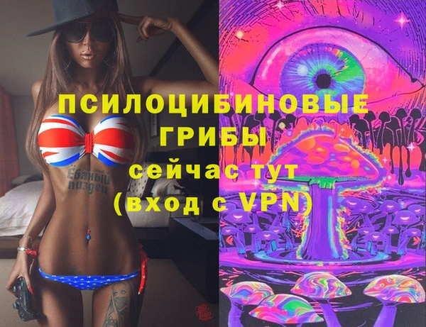 гидропоника Иннополис