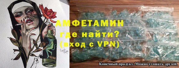 гидра Инта