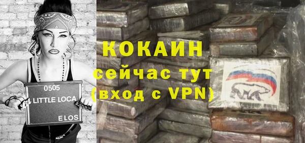 гидра Инта