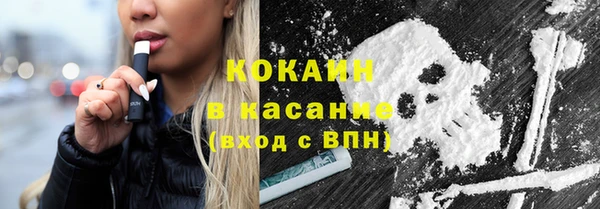 гидра Инта