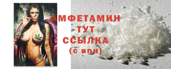 гидра Инта