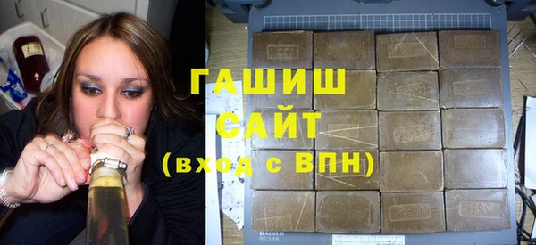 гидра Инта