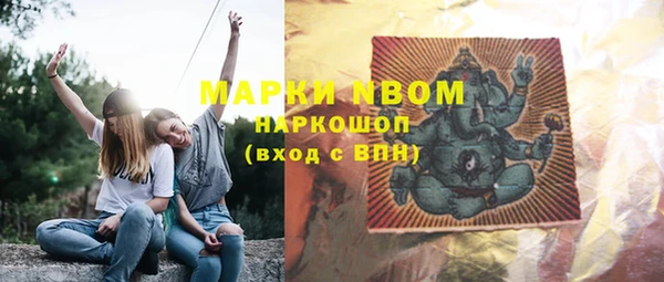 гидропоника Иннополис