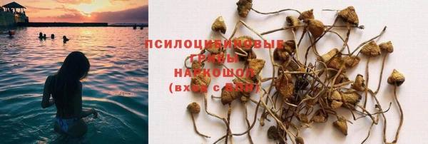 гидропоника Иннополис