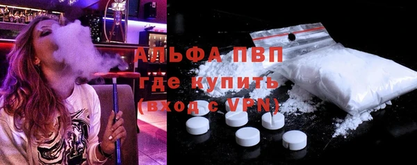 гидра Инта