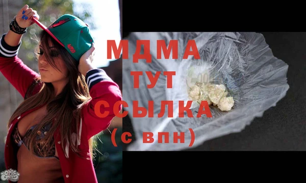 гидра Инта
