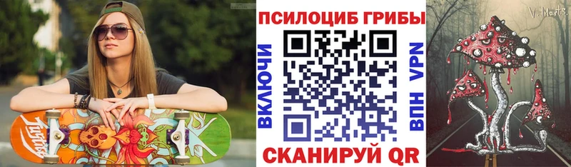 Галлюциногенные грибы GOLDEN TEACHER  Купить  Духовщина 